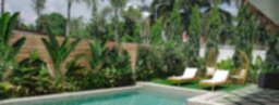 5 plantas resistentes al calor perfectas para tu terraza o jardín